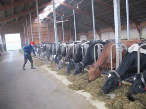 Places au cornadis séparées : vue vers l’Ouest