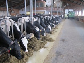 Places au cornadis séparées : vue vers l’Est