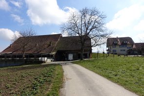 Blick auf den zum Schweinestall umgebauten Milchviehstall