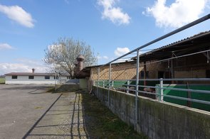 Blick auf den Zuchtsauenstall hinten, im Vordergrund Auslauf Vormast